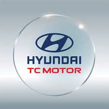 Thị trường Hyundai tháng 01/2025